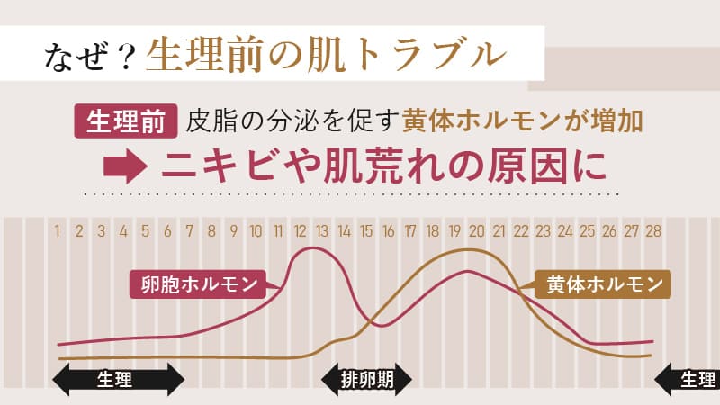 コラム一覧のサムネイル画像