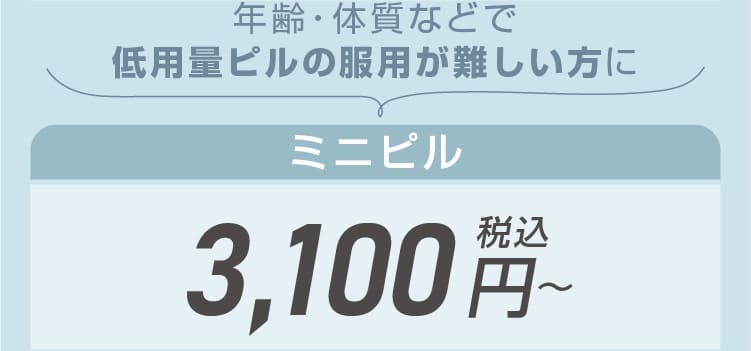幅広い種類をご用意！ミニピル