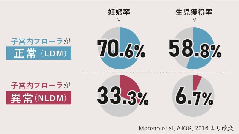 子宮内フローラが妊娠・出産に与える影響
