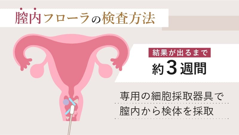 膣内フローラ検査の方法